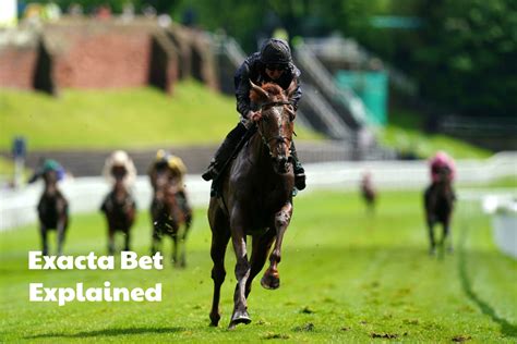 Exacta Bet In Horse Racing (How Exactas Work).